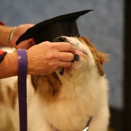 photograph by PeterW